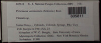 Image Associated With the Occurence